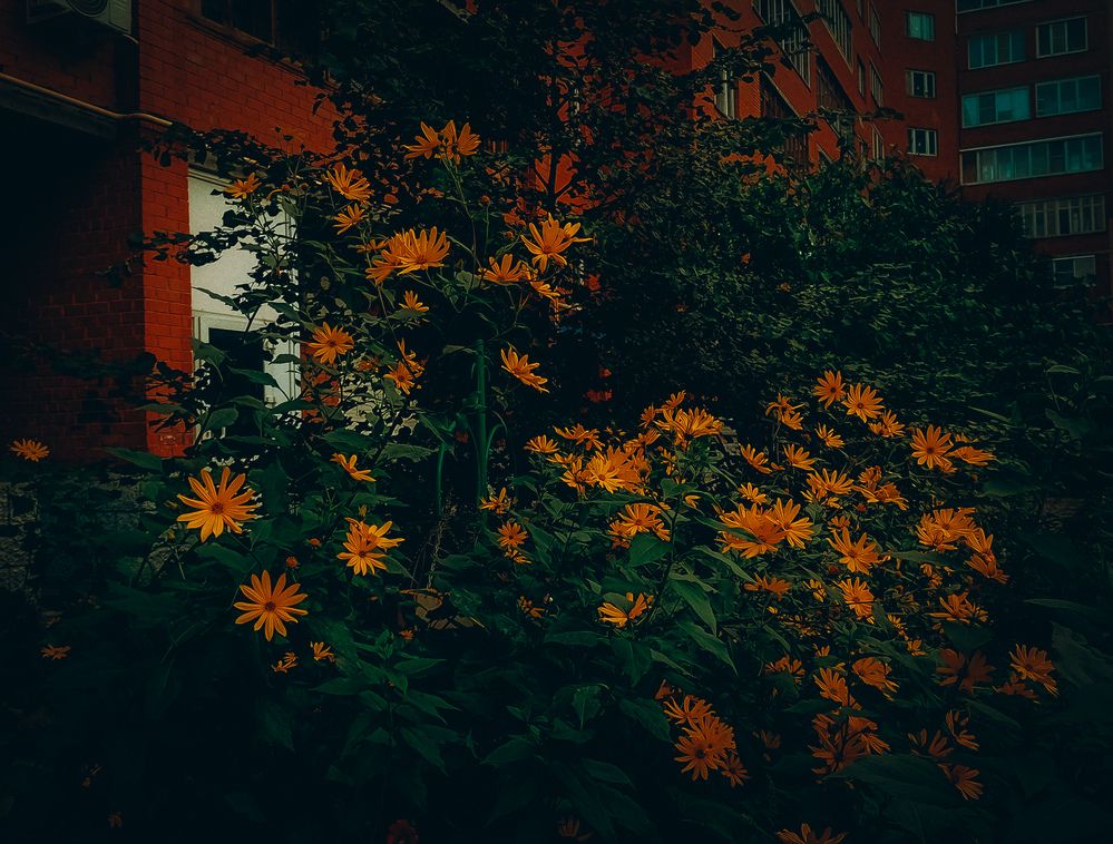 Photograph by Елена Ерасова