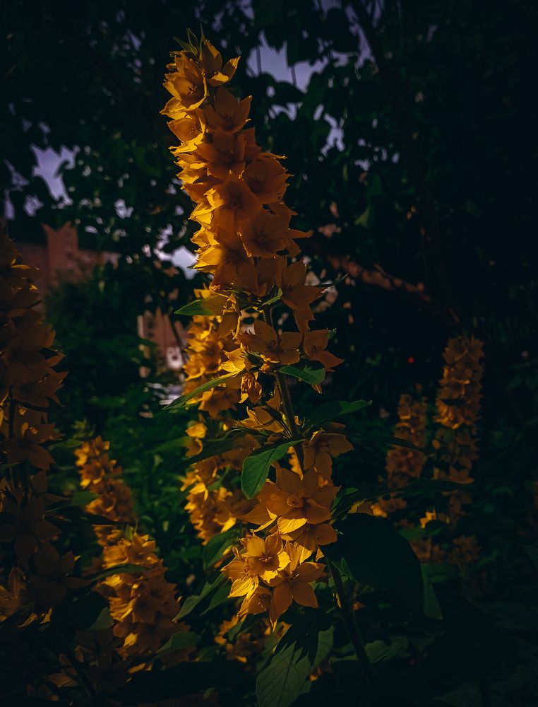 Photograph by Елена Ерасова