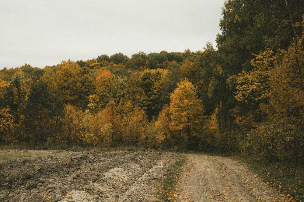 Фотография автора Дмитрий Новиков