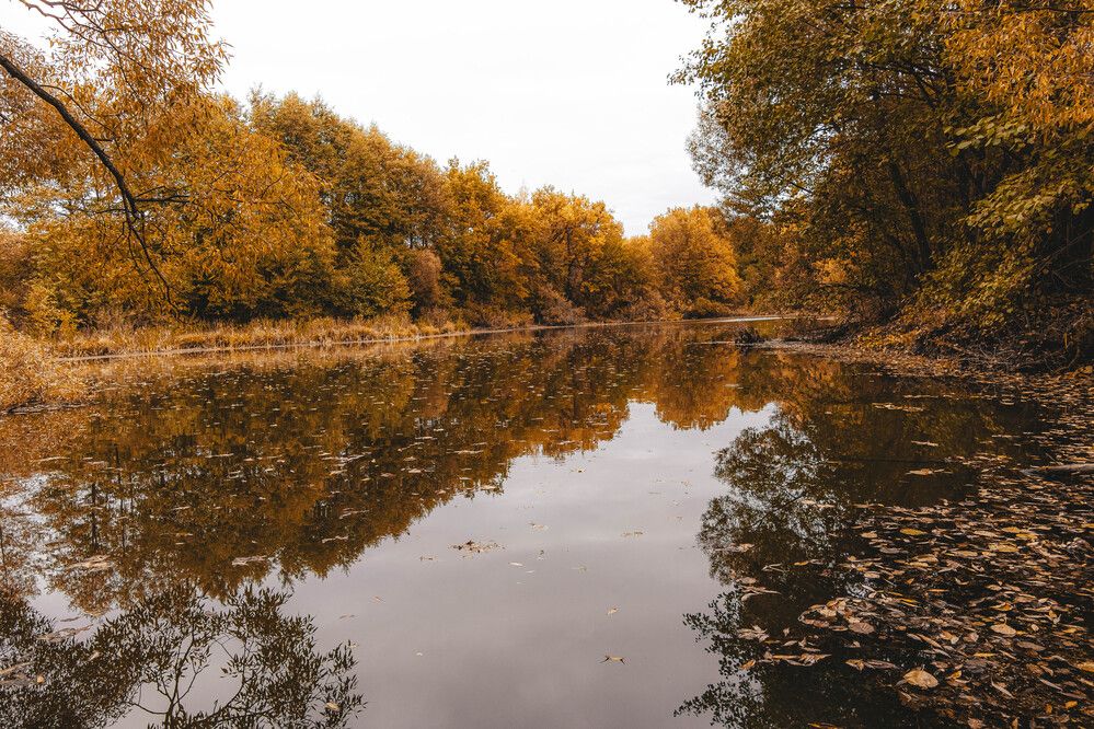 Фотография автора Дмитрий Новиков