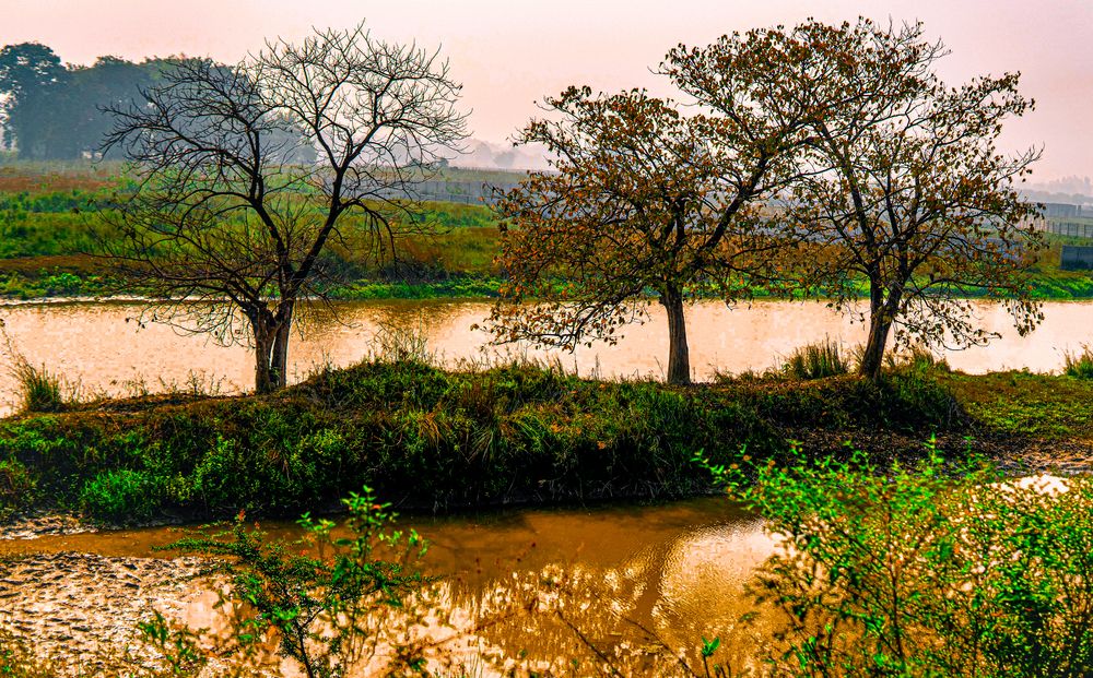 Фотография автора savitri Rawat