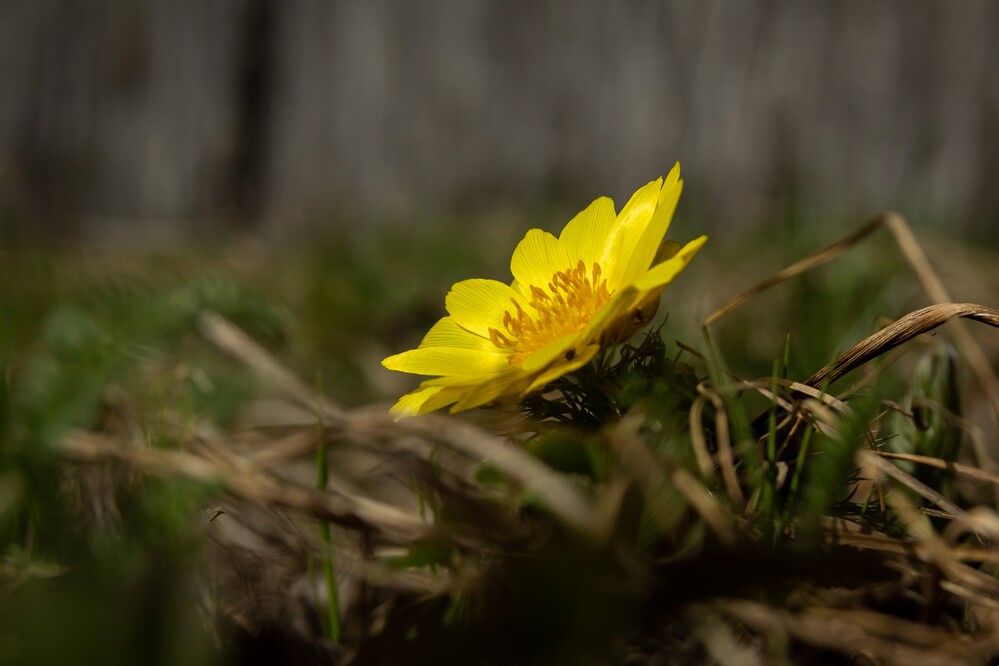 Photograph by Татьяна Гороховская