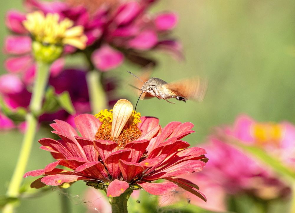 Photograph by Алексей Сиваков