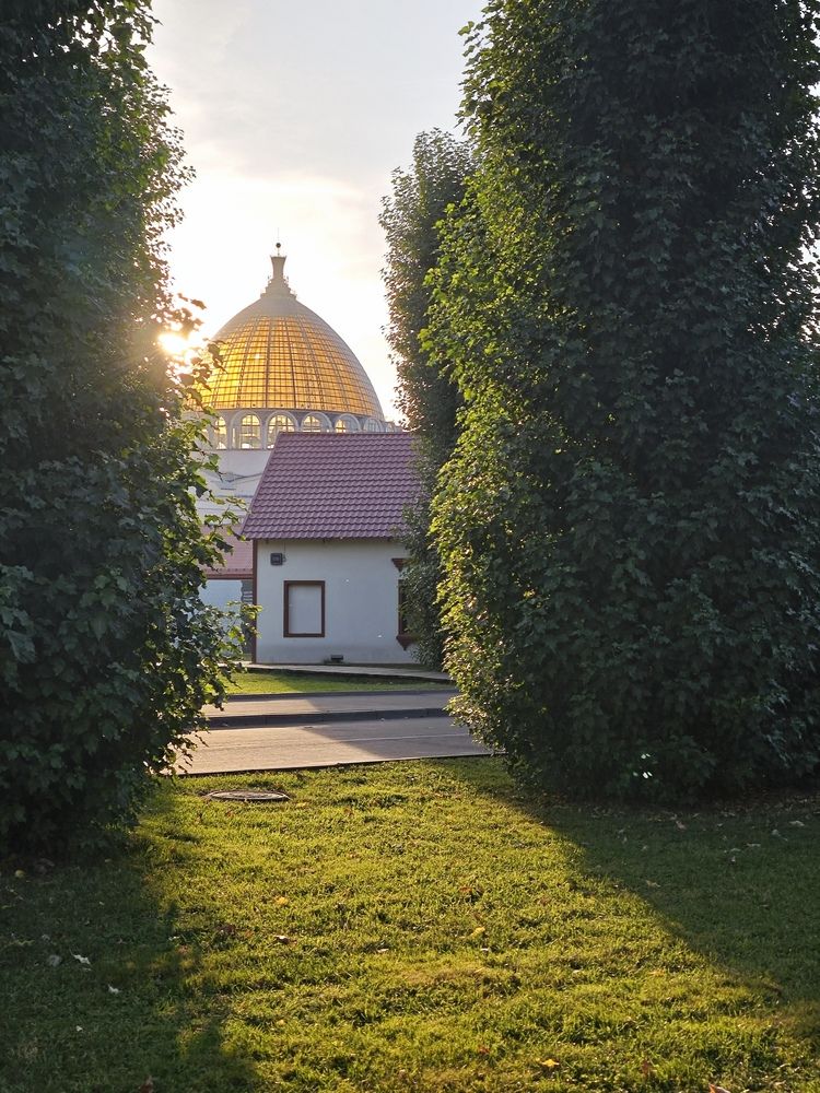 Photograph by Елена Шоколенко