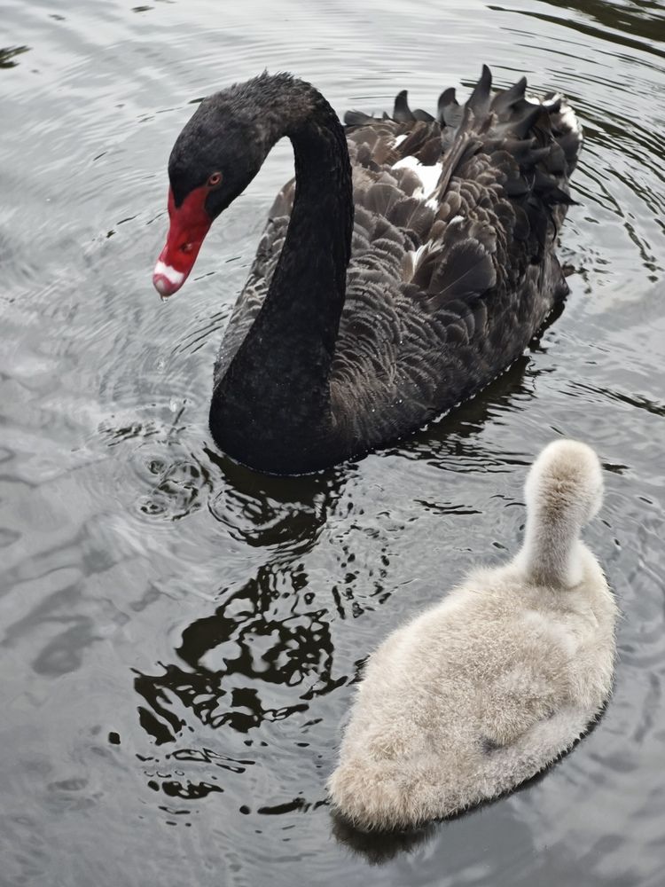 Photograph by Елена Шоколенко