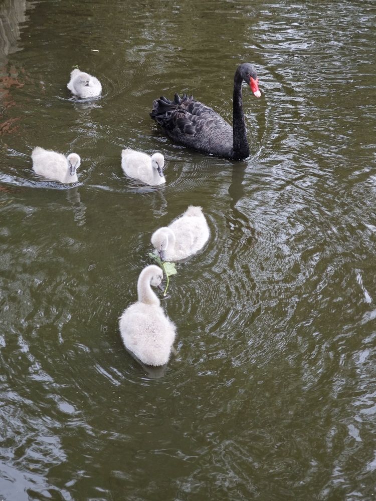 Photograph by Елена Шоколенко