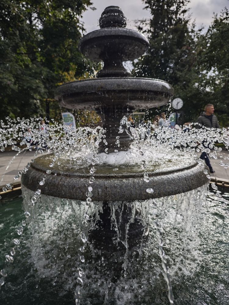 Photograph by Елена Шоколенко