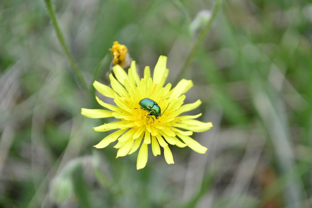 Photograph by Светлана Мазурова