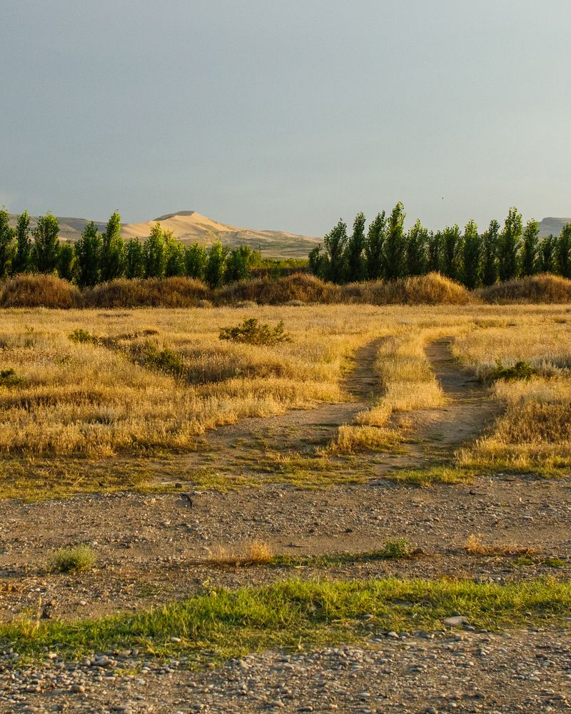 Photograph by Тоцкий Михаил