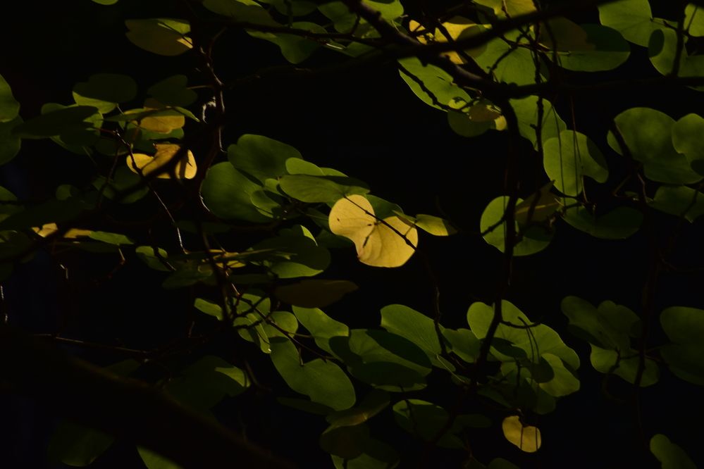 Photograph by Efi Laskari