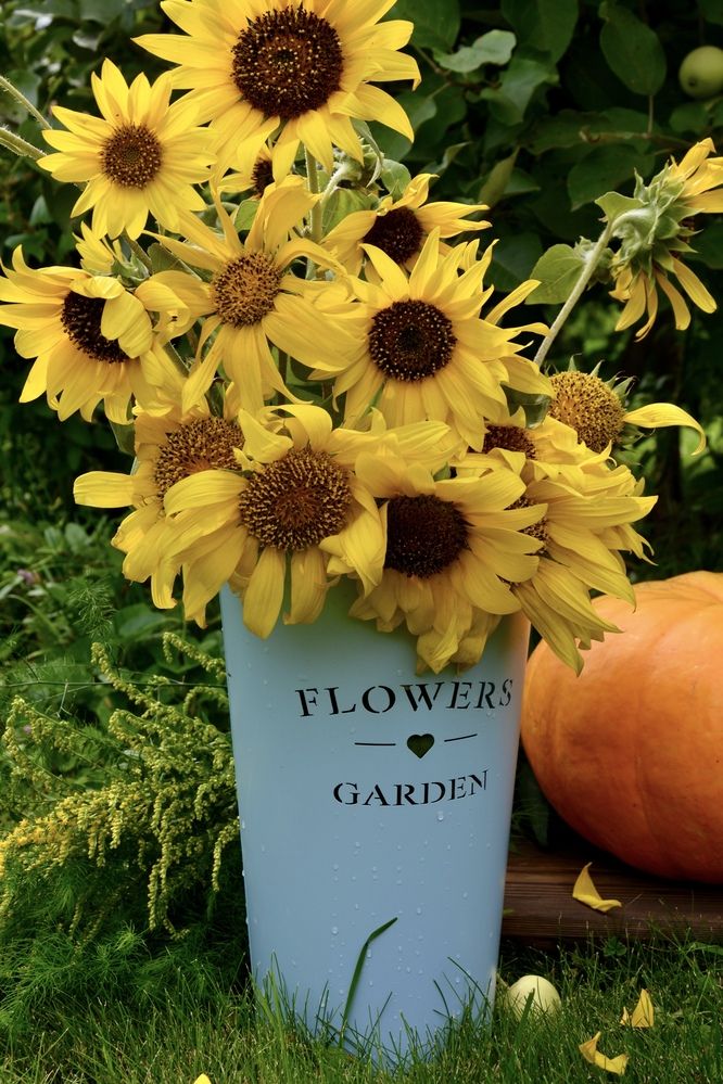 Photograph by OLGA LIZ