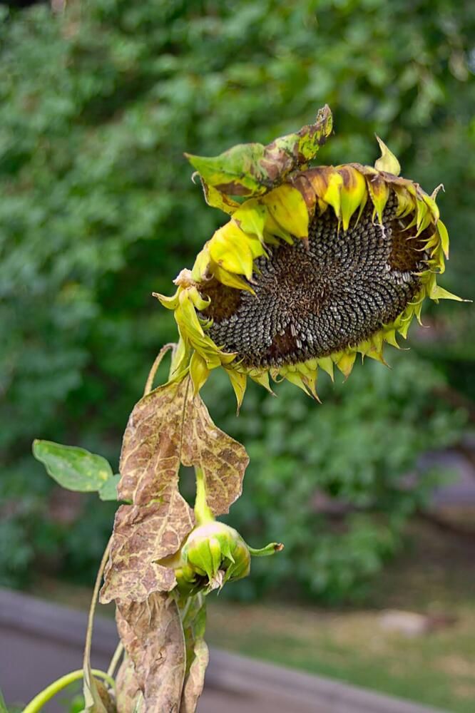 Photograph by Евгений Беленков