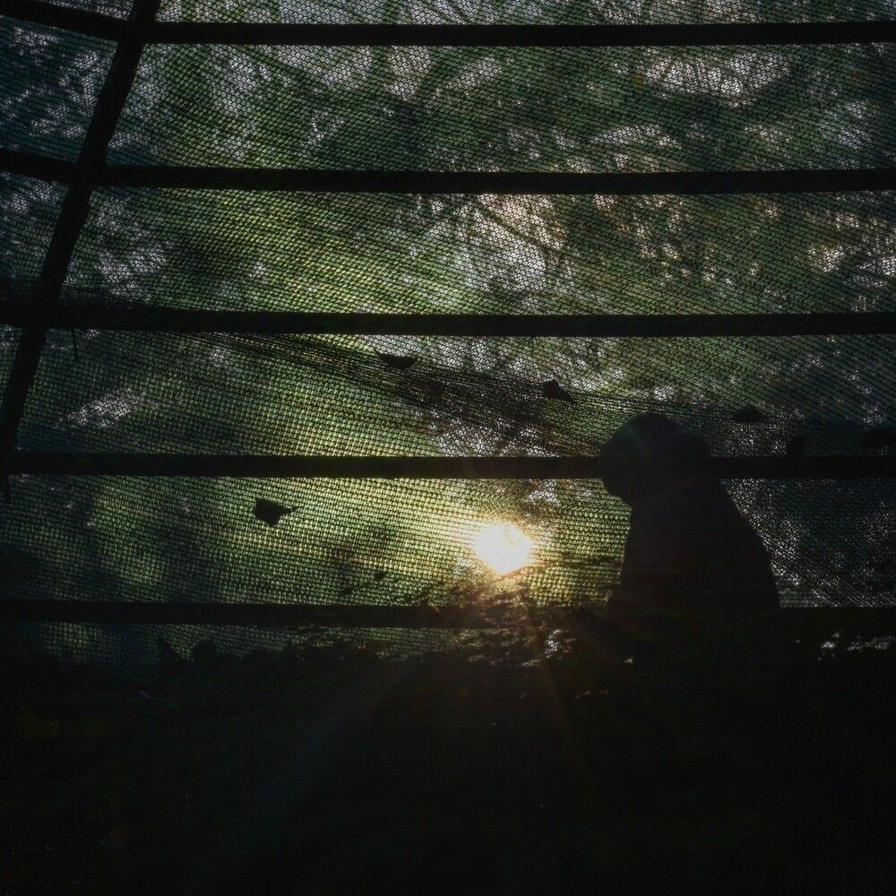 Photograph by Efi Laskari