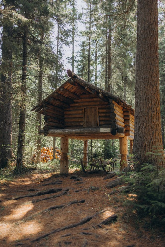 Photograph by Бальзирова Наталья