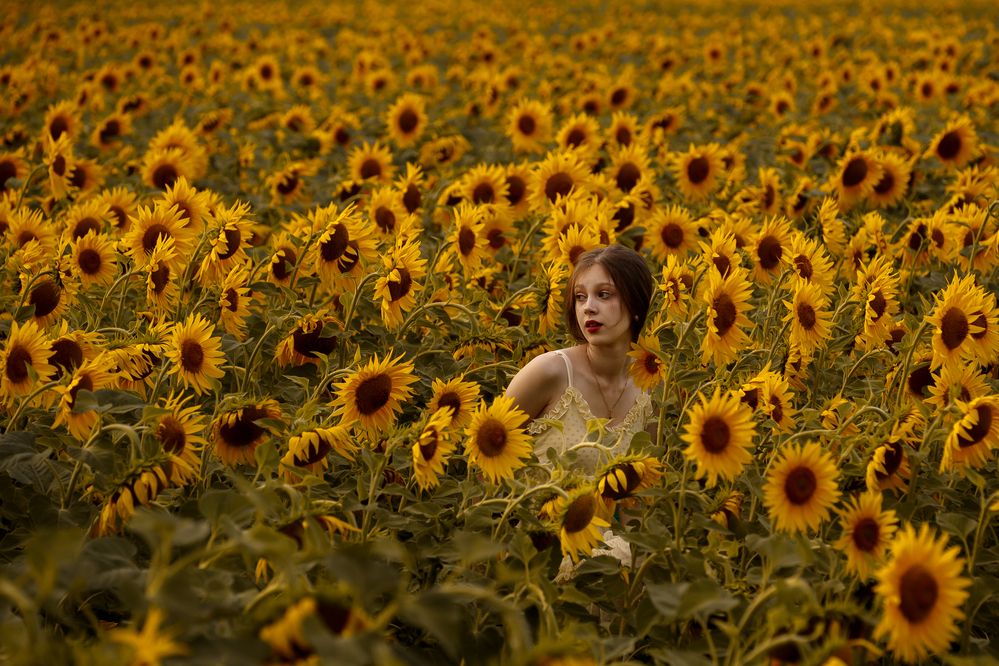 Photograph by Максимов Алексей