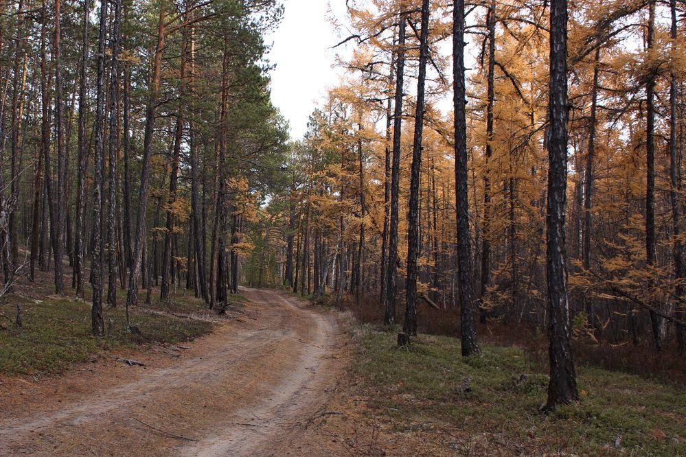 Photograph by Александр Велигура