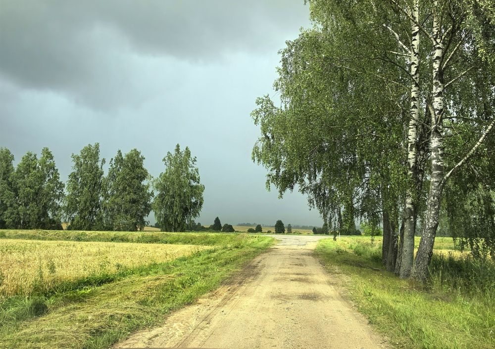 Photograph by Екатерина Борисовна Кузьмина