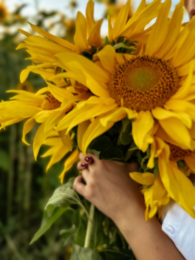 Photograph by Ольга Имамкулиева