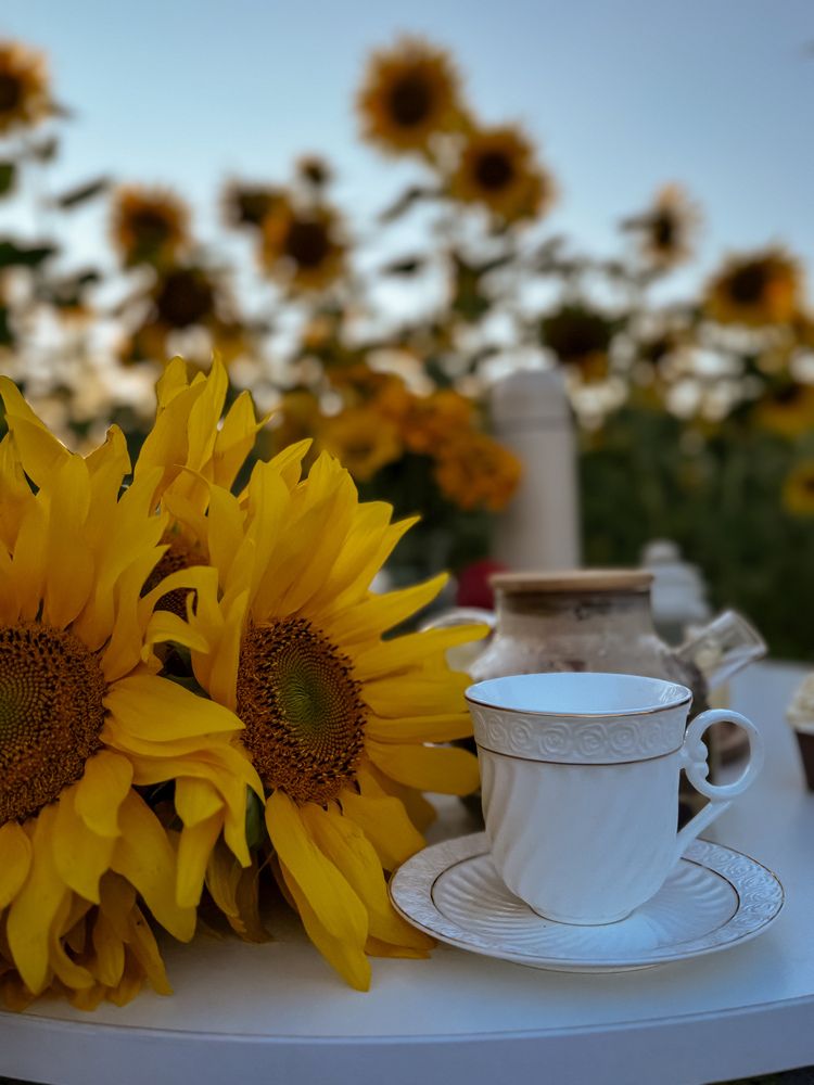 Photograph by Ольга Имамкулиева