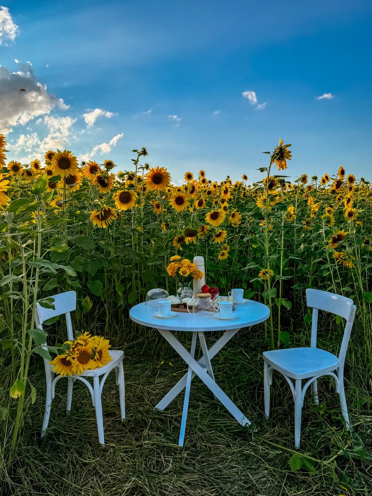 Photograph by Ольга Имамкулиева