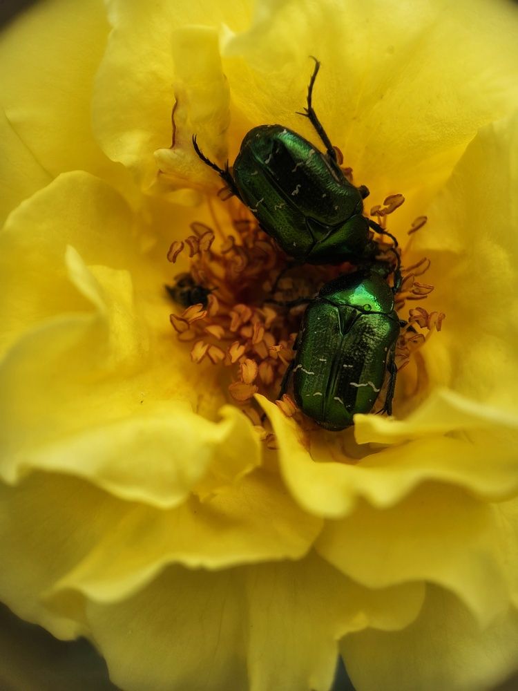 Photograph by Севиля Вейсалова