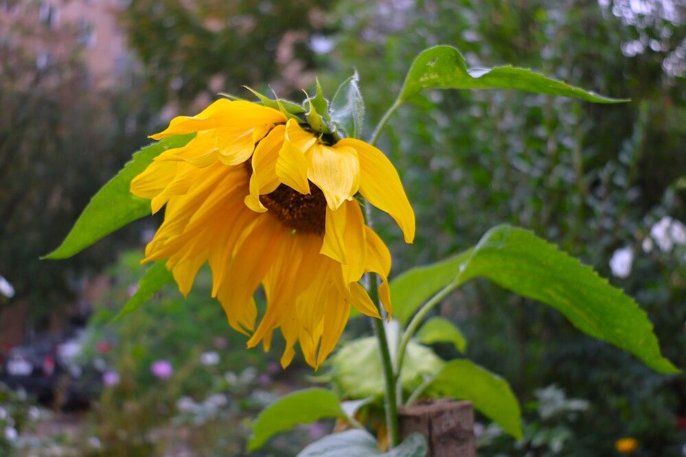 Photograph by Гагик Саркисян