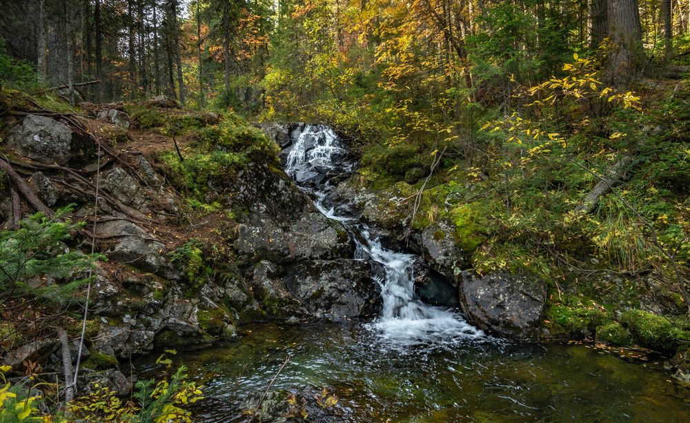 Photograph by Владимир Синцов
