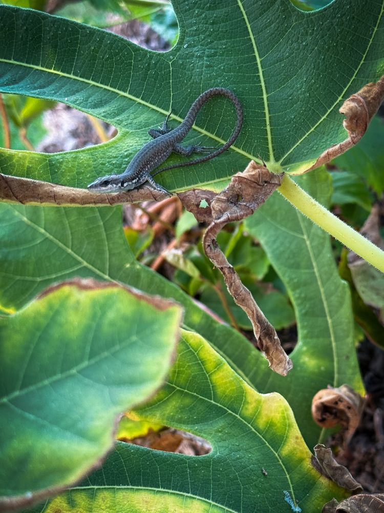 Photograph by Евгений Фролов