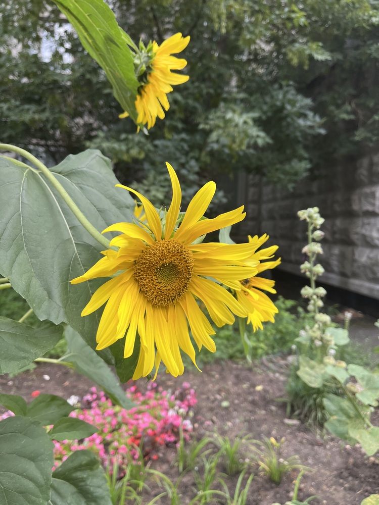 Фотография автора Irina Ginbert