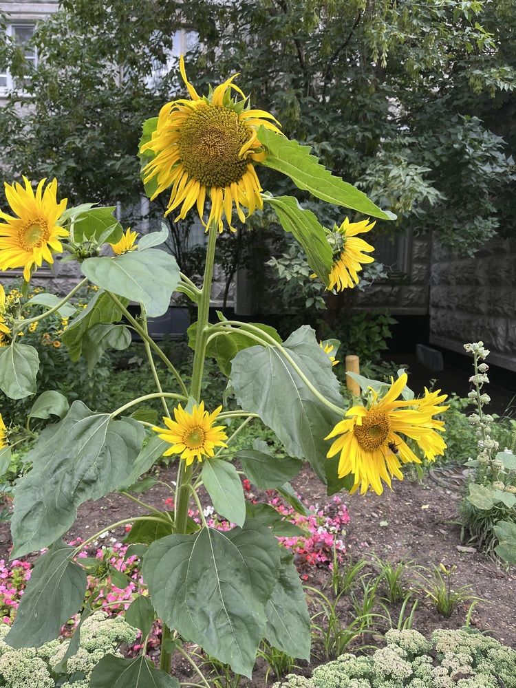 Фотография автора Irina Ginbert