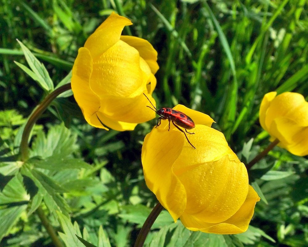 Photograph by Виктор Решетников