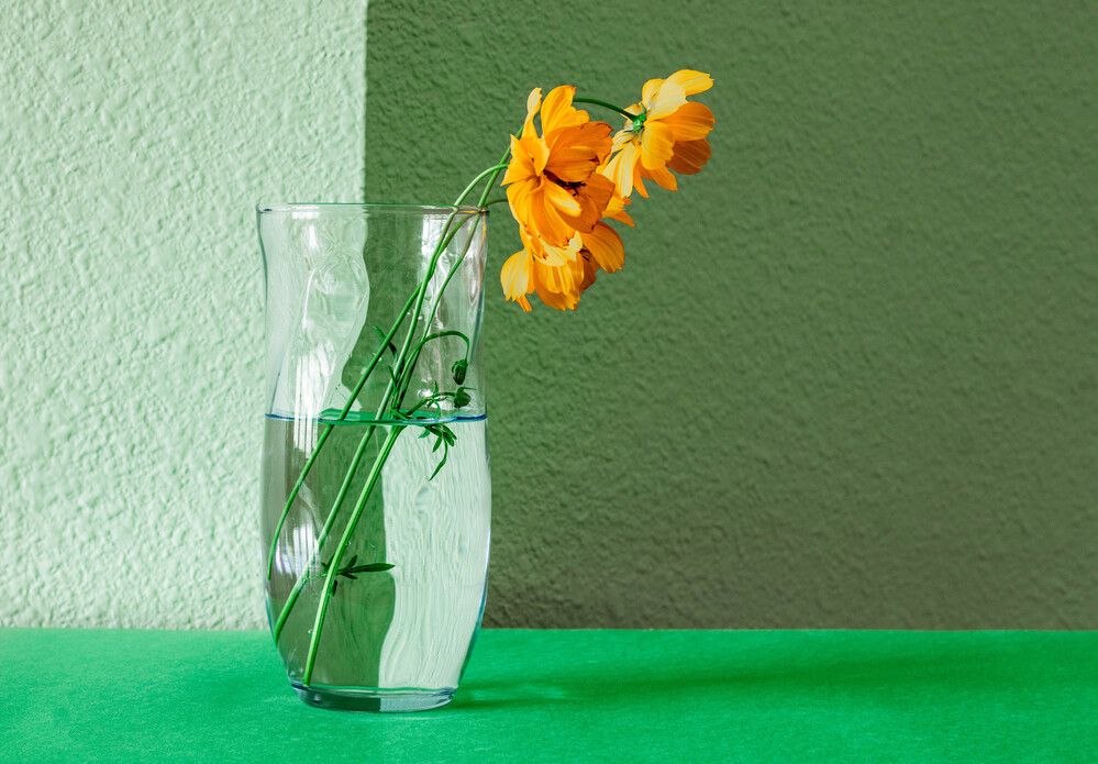 Photograph by Анатолий Костерев