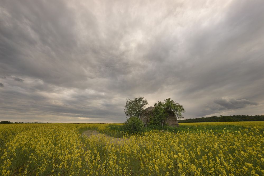 Фотография автора Дейнекина Галина