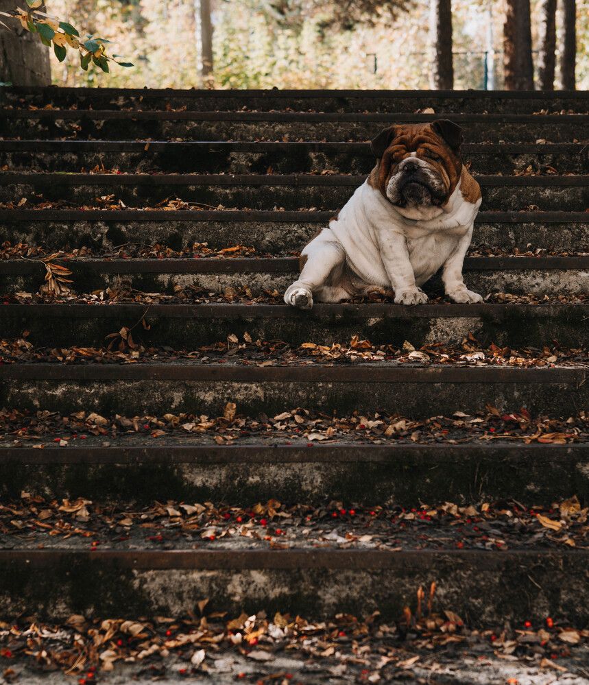 Photograph by Ольга Кискина