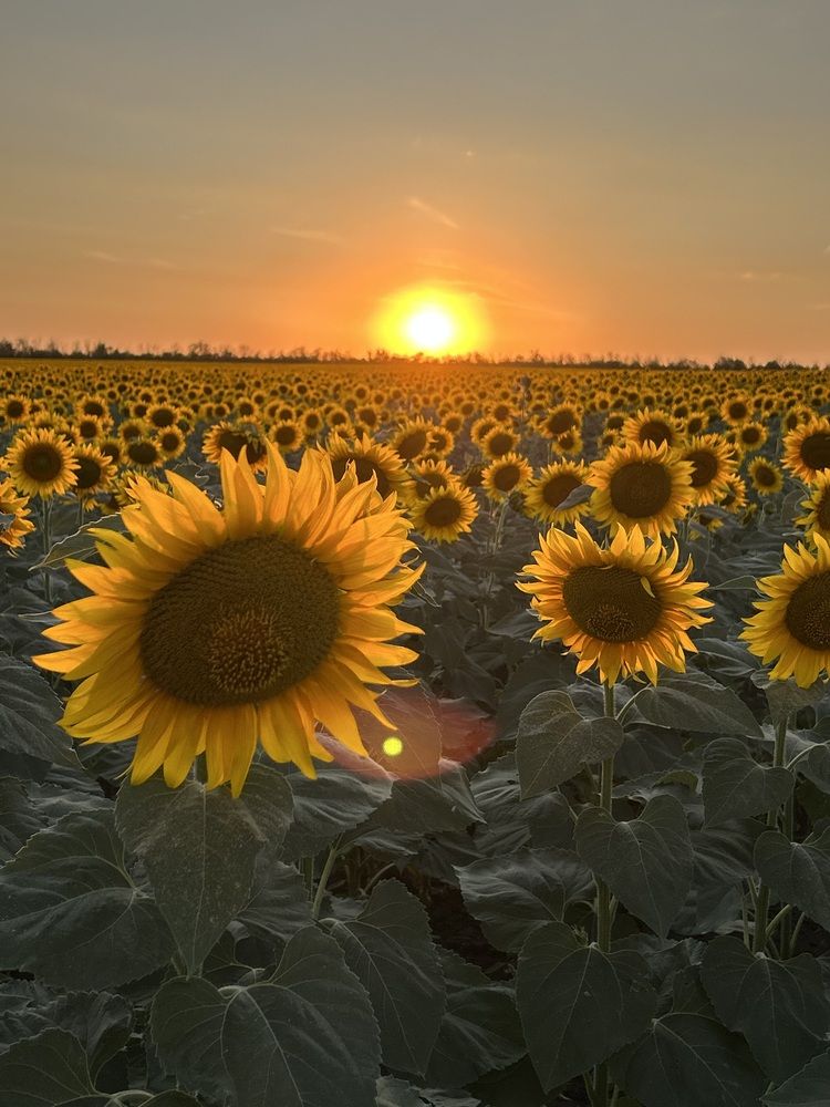 Photograph by Юлия Горчакова