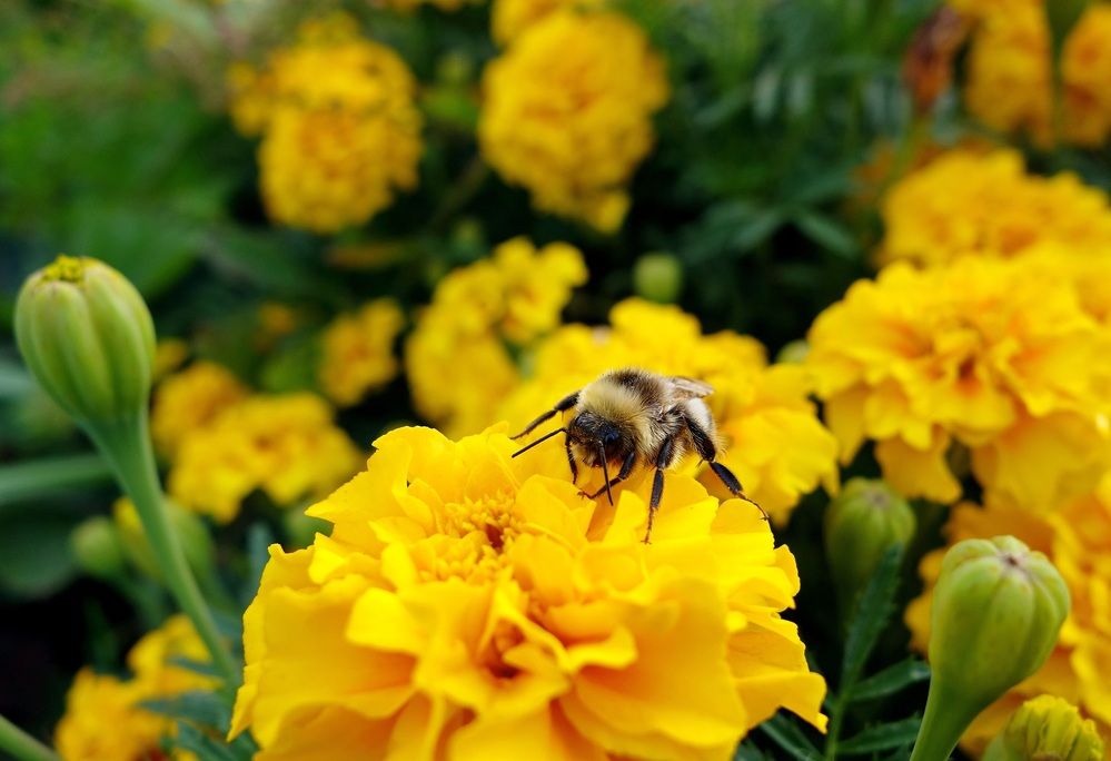 Photograph by Виктор Решетников