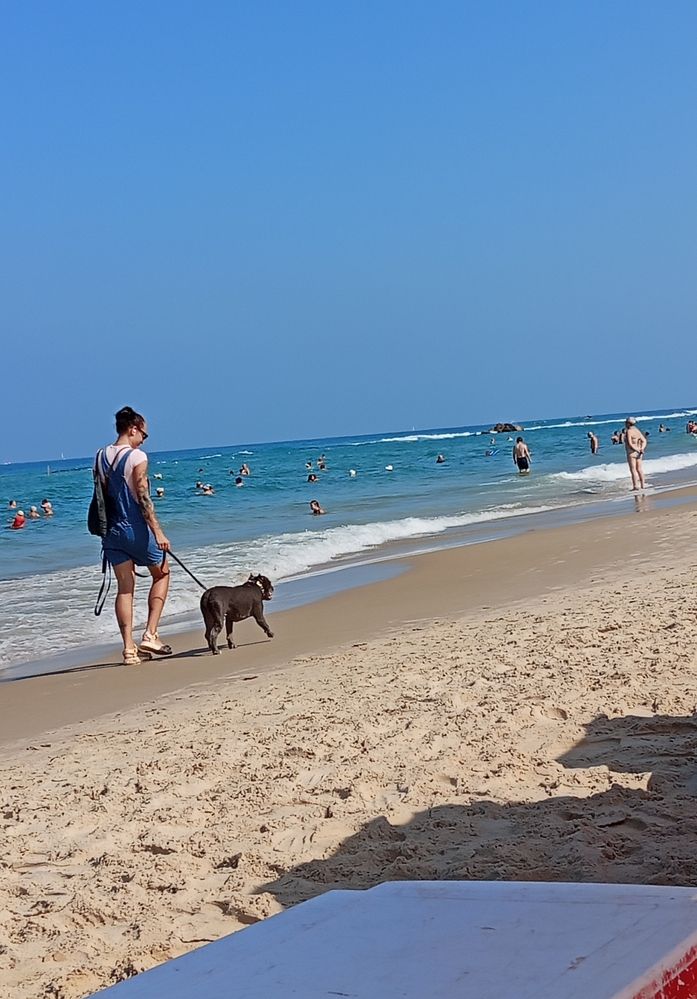 Photo #12609615