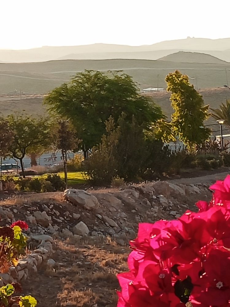 Photo #12609618