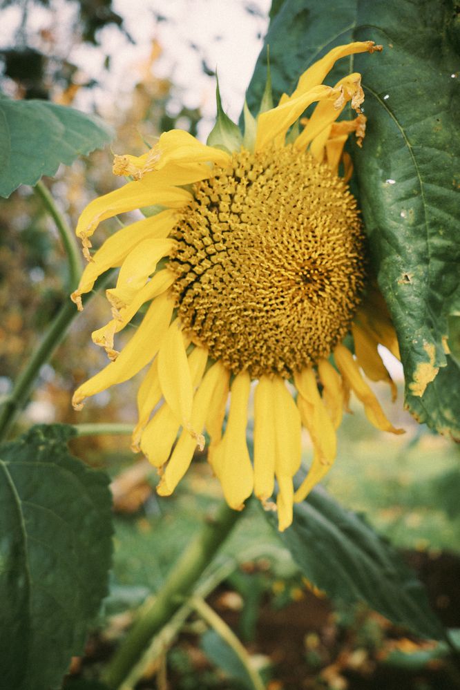 Photograph by Александр Шалагин