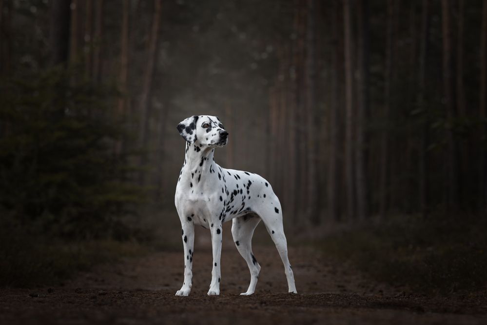 Photograph by Daniela Schmid