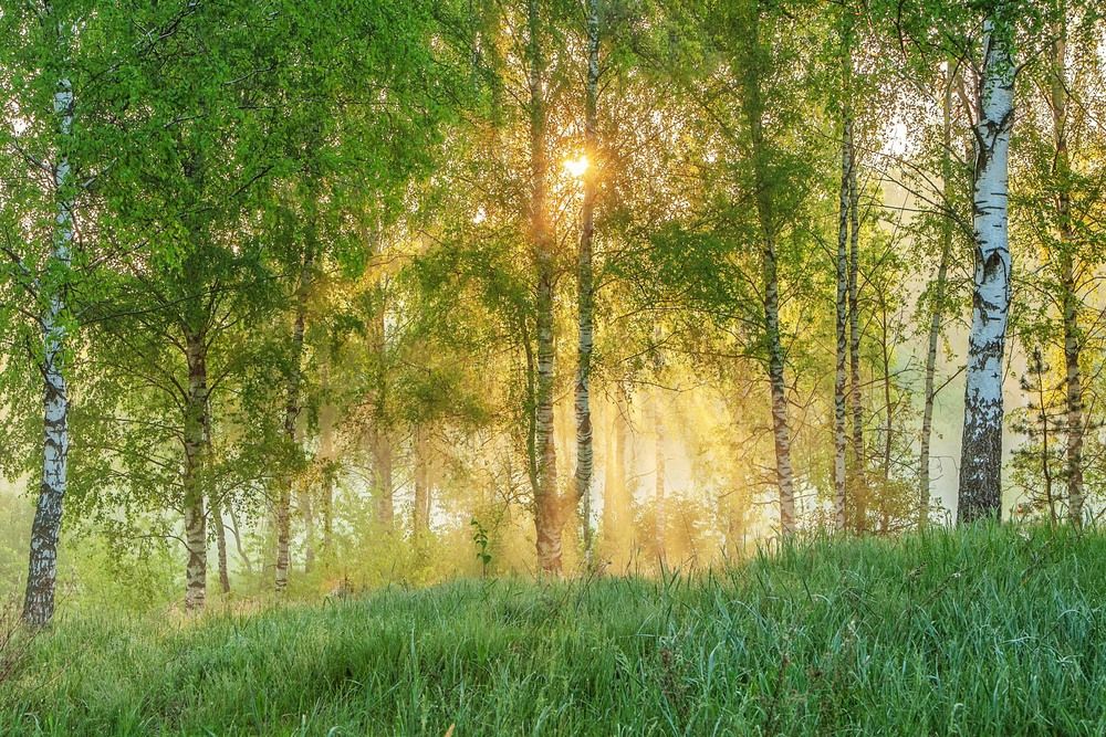 Photograph by Юрий Спасенников