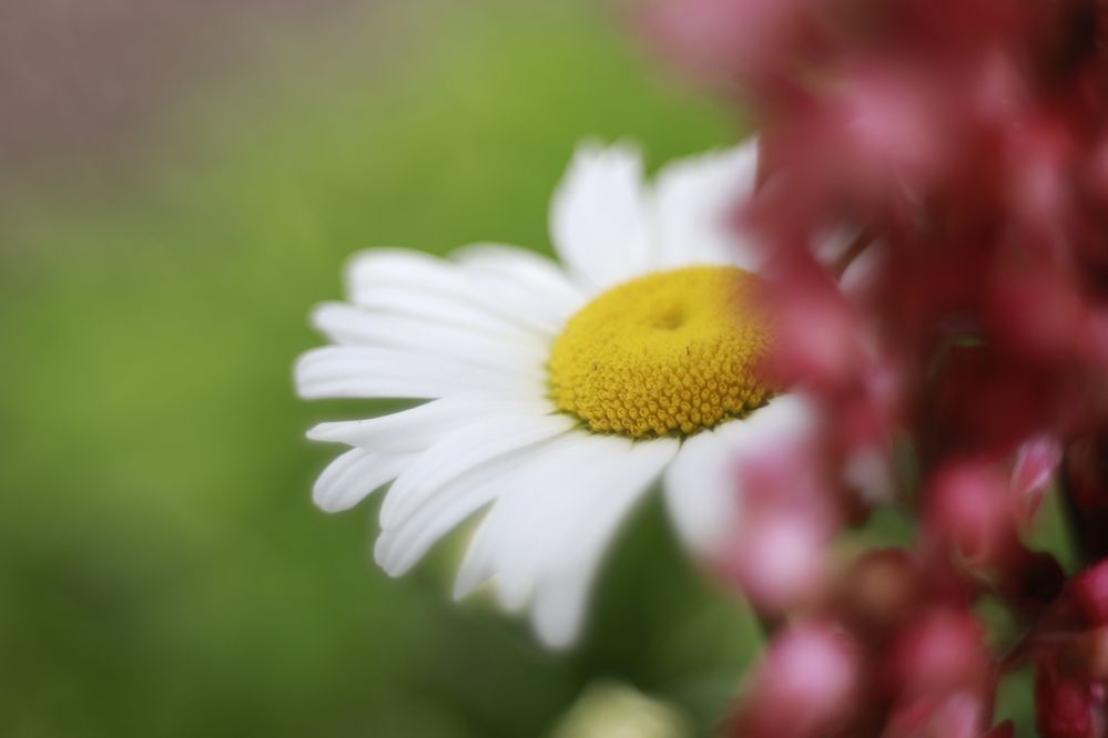 Фотография автора Павел Мартюшев