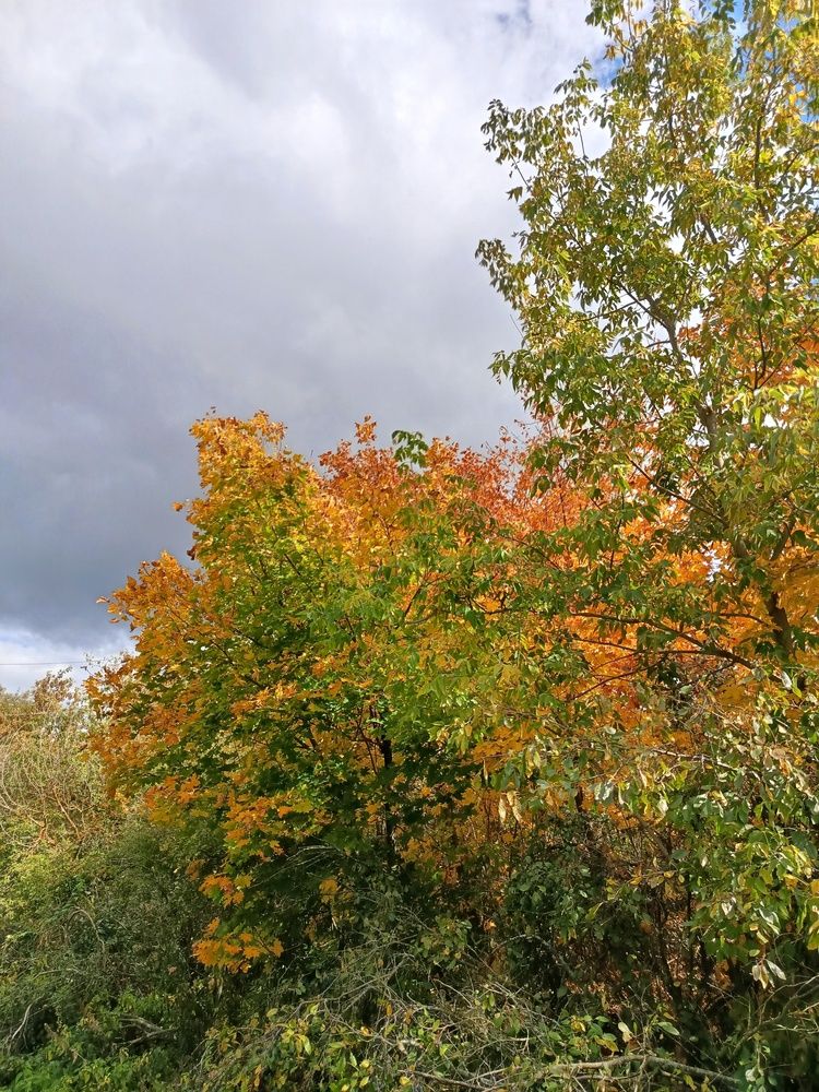 Photograph by Ксения Уварова