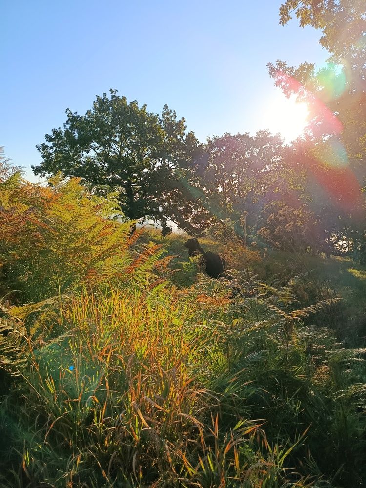 Photograph by Ксения Уварова