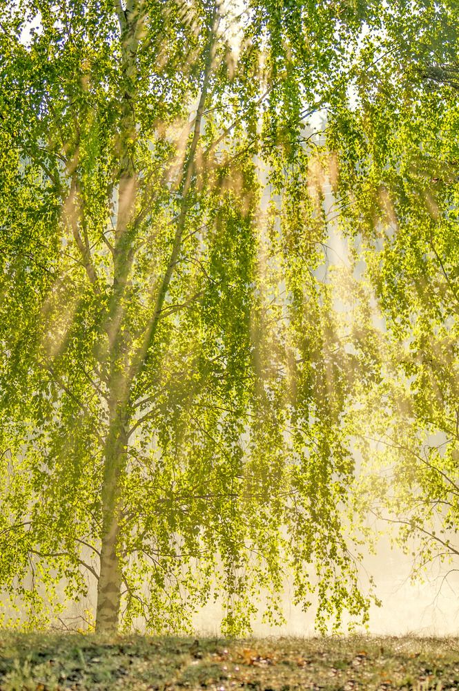 Photograph by Юрий Спасенников