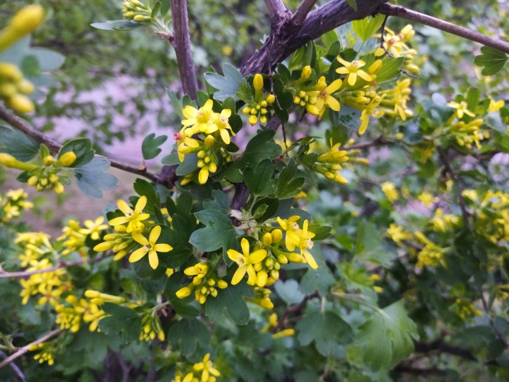 Фотография автора Мария Клеба