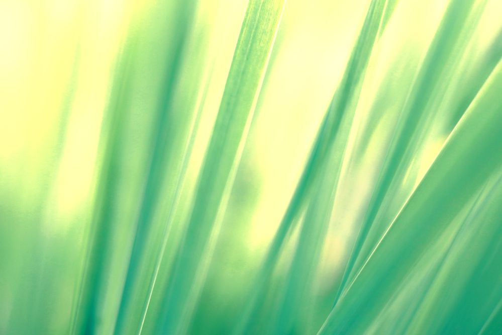 Фотография автора Павел Мартюшев