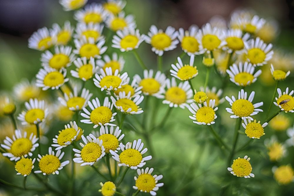 Фотография автора Павел Мартюшев