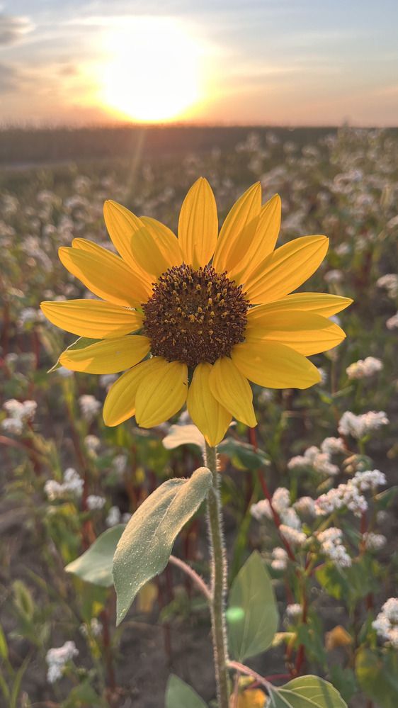 Photograph by OLGA LIZ