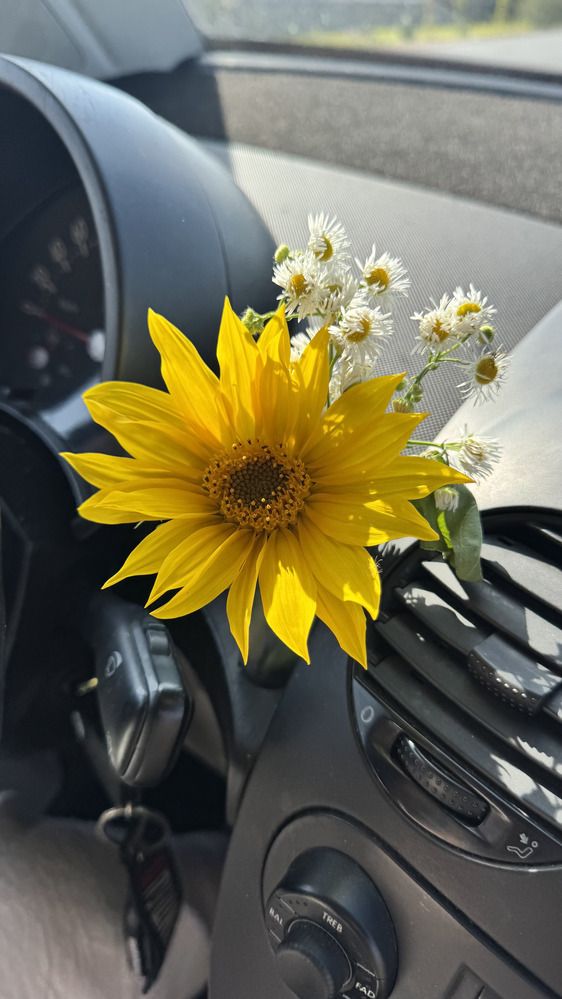 Photograph by Елена Ямнюк